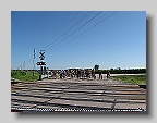 Ragbrai Train3